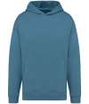 NS408 Unisex Oversized Hoodie Adriatic Blue colour image